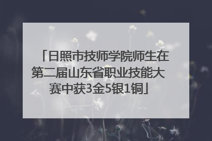 日照市技师学院师生在第二届山东省职业技能大赛中获3金5银1铜